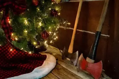 Lumberjack Feud - Axes near Christmas Trees