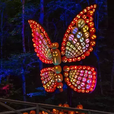Dollywood Halloween Light Display